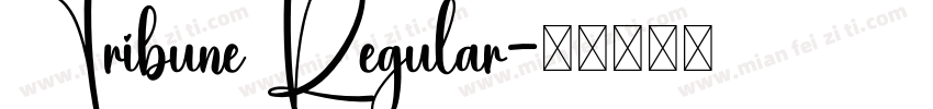 Tribune Regular字体转换